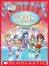 Cover image for The Secret of the Snow